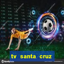 tv santa cruz bahia meio dia ao vivo